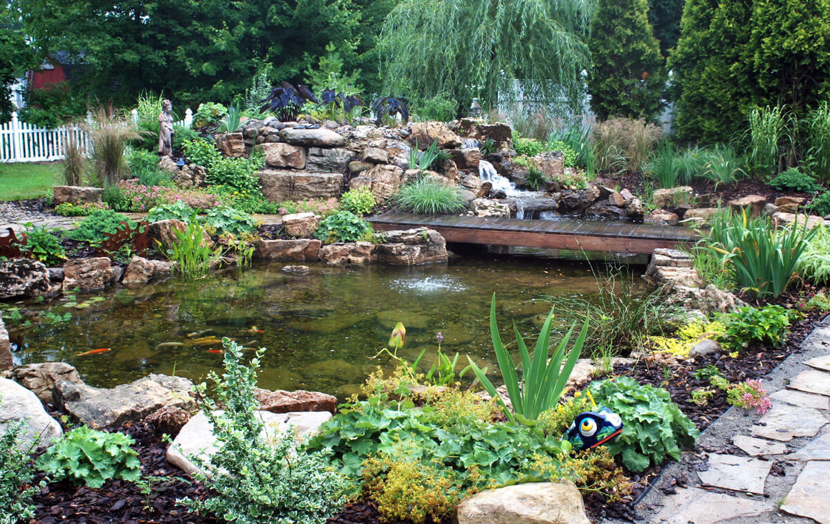 Koi Pond Bridge and Waterfall